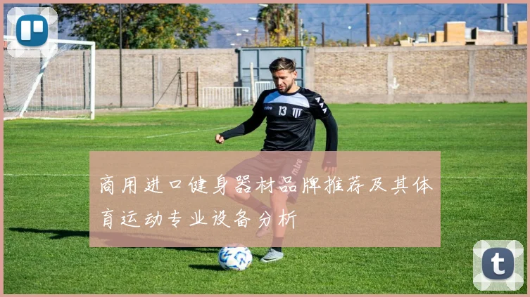 商用进口健身器材品牌推荐及其体育运动专业设备分析