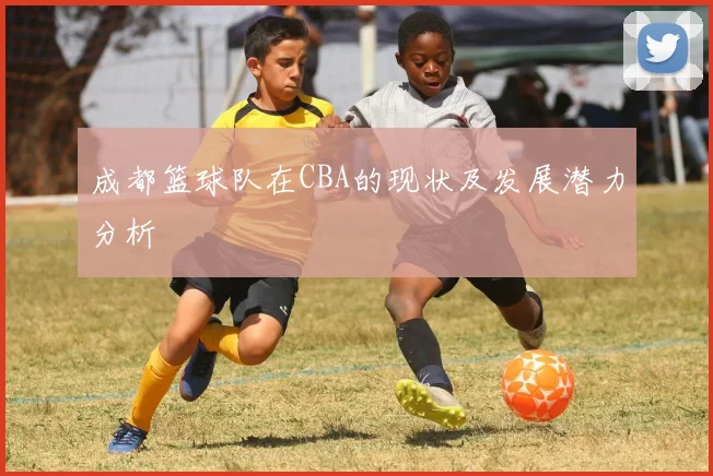 成都篮球队在CBA的现状及发展潜力分析
