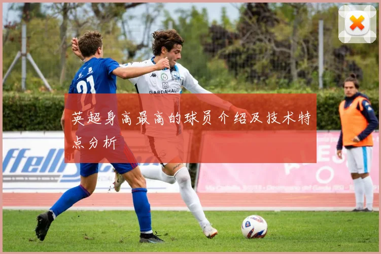 英超身高最高的球员介绍及技术特点分析