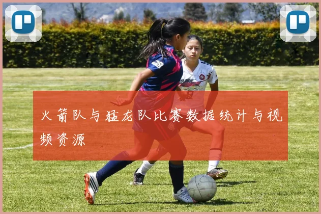 火箭队与猛龙队比赛数据统计与视频资源