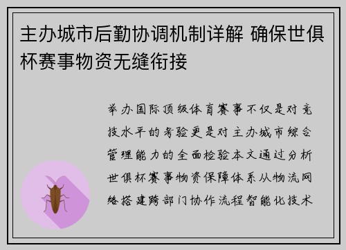 主办城市后勤协调机制详解 确保世俱杯赛事物资无缝衔接